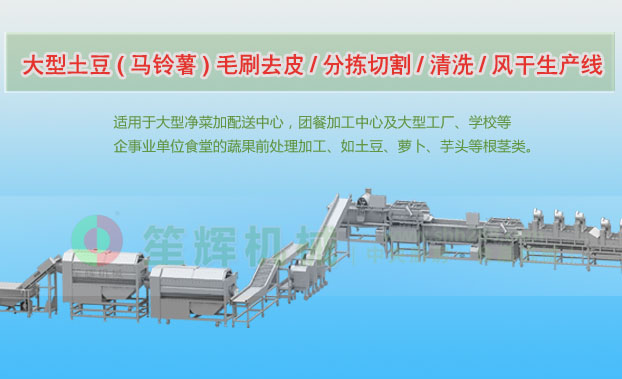 岳池连续式土豆去皮清洗切割风干生产线